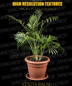 Kential Palm Texture with alpha channel  Texture