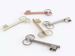 Key 23 3D model
