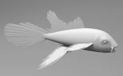 Koi fish Low-poly  3D model