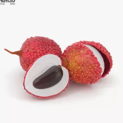 Lychee 3D model