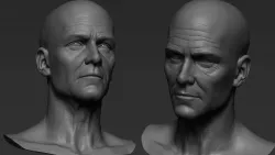 Male face  50 year old  Base sculpt 3D model