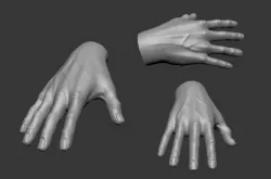 Male Hand 3D model