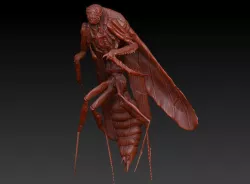 MIMIC Bug 3D model