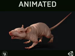 Naked Rat Low-poly  3D model