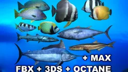Ocean Fish Package Low-poly  3D model