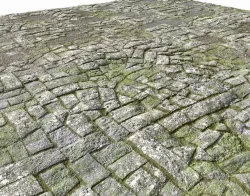 Old Mossy Floor Seamless PBR Texture