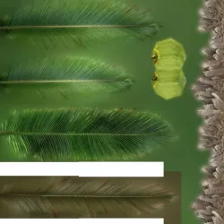 palm tree 3D model