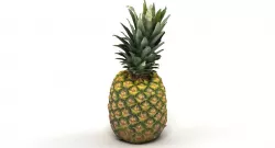 Pineapple 3D model