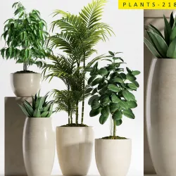 Plants 218 3D model