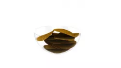 Potato Chips 3D model