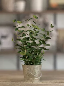 Potted Mint 3D model