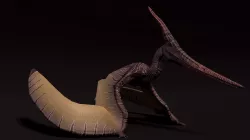 Pterodactyl Asset Pack Low-poly  3D model