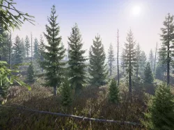 Realistic Spruce Fir Trees for games Low-poly  3D model