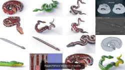 Rigged Pythons Volume 2 3D Model Collection
