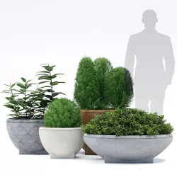 Rosa Planter 3D model