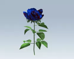 Rose blue 3D model