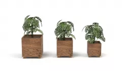 Senetsio Pot 3D model