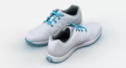 Shoes 3D model