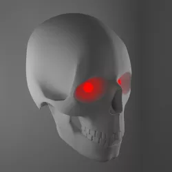 Skull 3D model