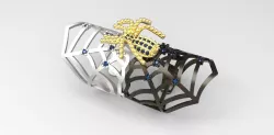 Spider Web Ring 3D model