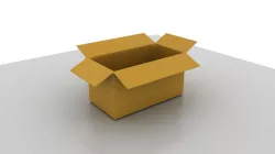 The Cardboard 3D model
