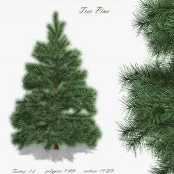 Tree Pine  3D model