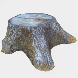 Tree trunk 3D model