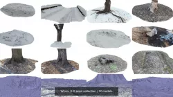 Winter 3-D scan collection 