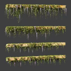 Wisteria blooming plant for beams or ceilings 3D model