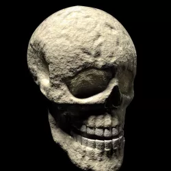 Withered Human Skull Model and Render File 3D model