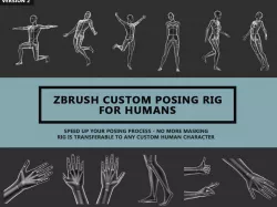 Zbrush Custom Posing Rig Tool For Humans V2 3D model