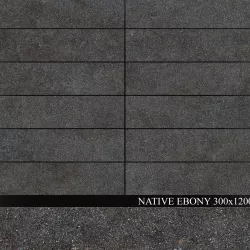ABK Native Ebony 300x1200 3D model