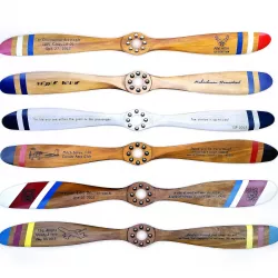 Airplane Propeller model 3D model
