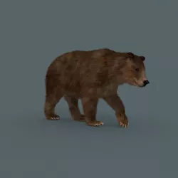 Best Bear - 3D animated Brown Bear 3D model