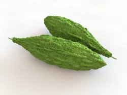 Bitter Gourd 3D model