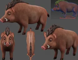 boar 3d Low-poly  3D model