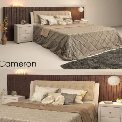 Cameron 3D model