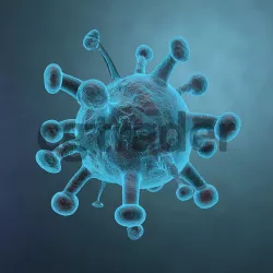 Cell - Bacteria 3D model