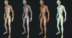 Character Reptile Animation Rig  Low-poly  3D model