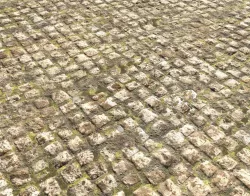 Cobblestone Road Texture PBR Texture