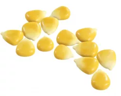Corn kernel 3D model