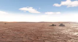 Desert 007 3D model
