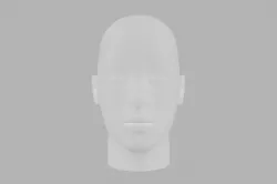 Face Model 3D model
