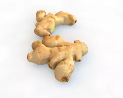 Ginger Low-poly  3D model