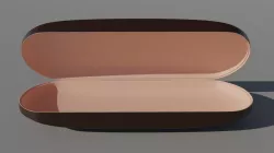 Glasses Case  3D model