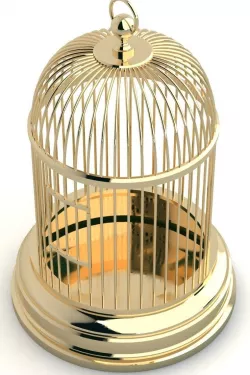 Gold Cage 3D model
