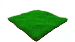 Grass 3D model