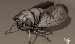 grease pencil cicada bug 3D model