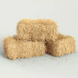 Hay bale 3D model