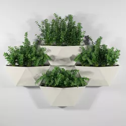 Hexagon Wall Planter 3D model